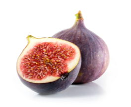 פרי מובחר עלי תאנה פרימדונה