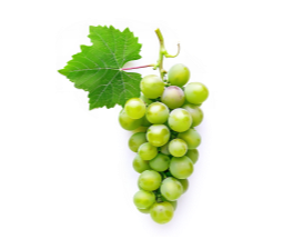 פרי מובחר ענבים פרימדונה