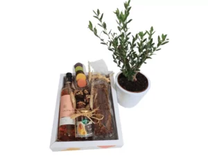 מארז דלתון רוזה+ עץ זית