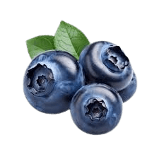 פרי מובחר אוכמניות פרימדונה