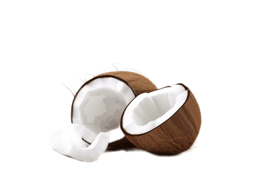 פרי מובחר קוקוס פרימדונה