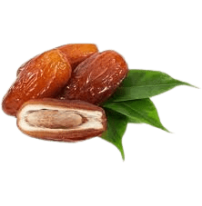 פרי מובחר תמרים פרימדונה